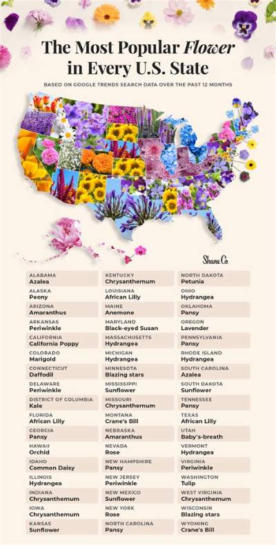How Important Is the Flower to Us?