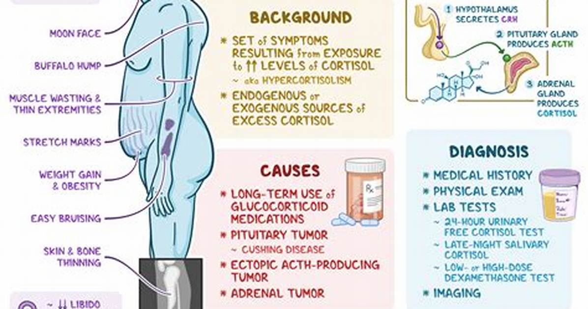 How Is Cushing's Disease Diagnosed in Dogs?