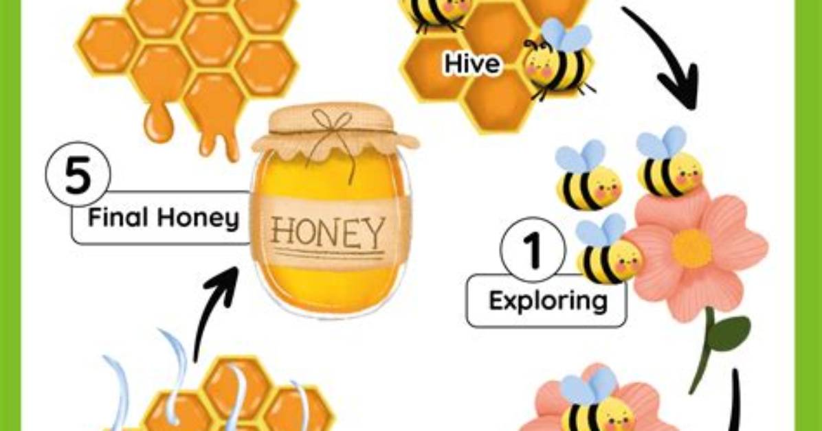 How Is Honey Made?