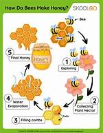 How Is Honey Made?