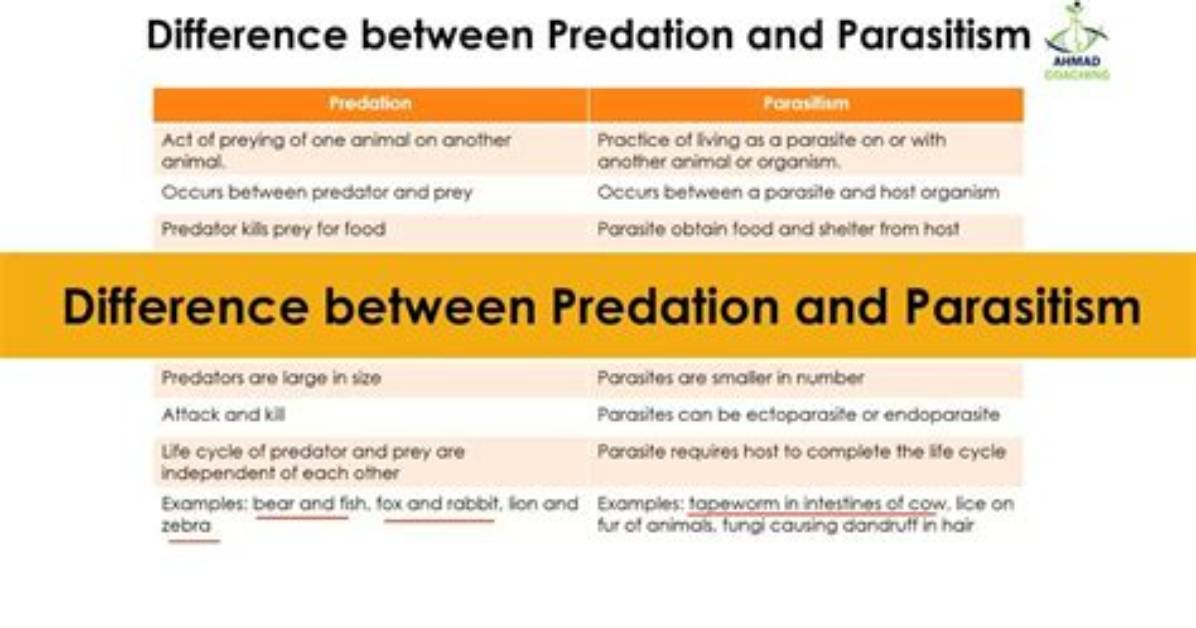 How Is Parasitism Similar to and Different from Predation