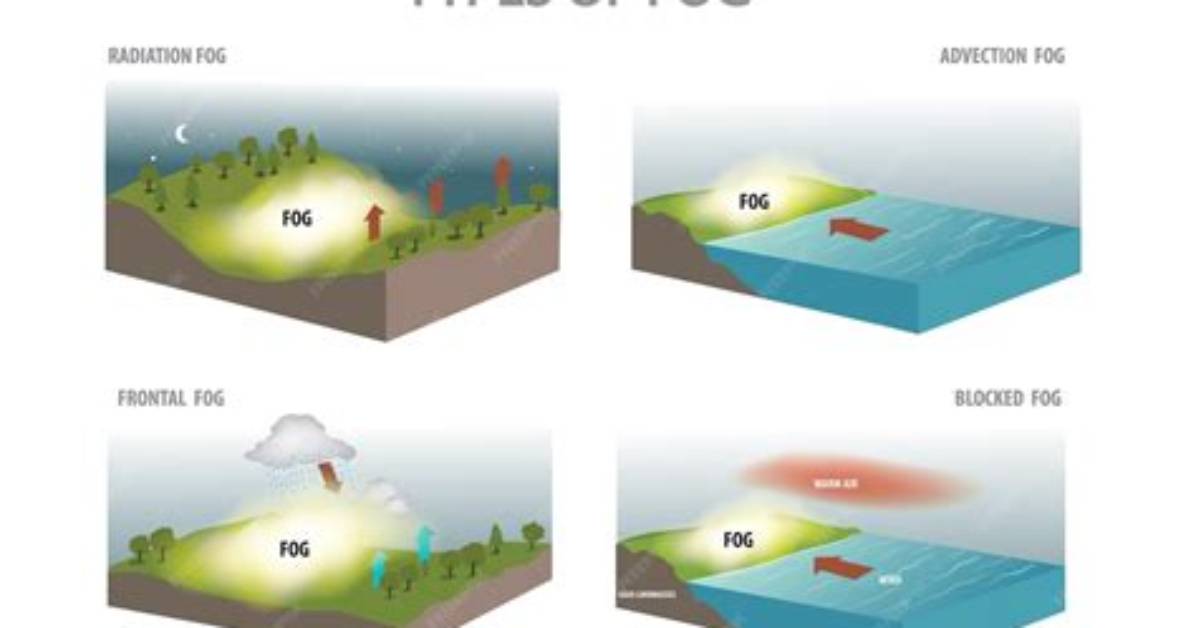 How Is Radiation Fog Different from Advection Fog?