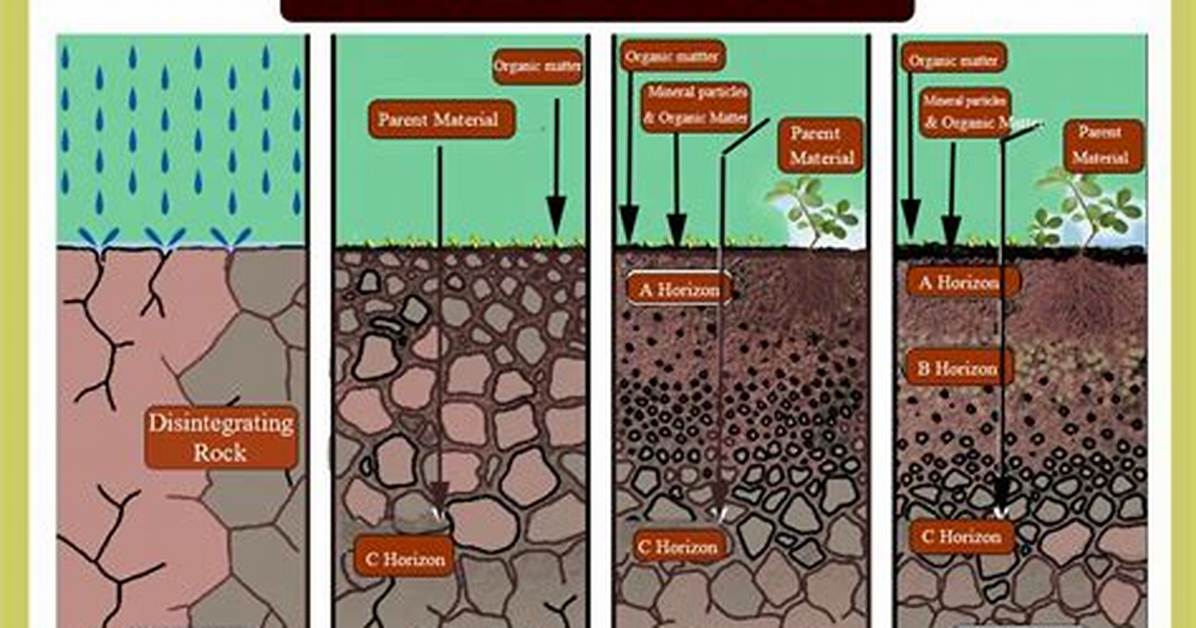 How Is Soil Formed Class 4 Short?