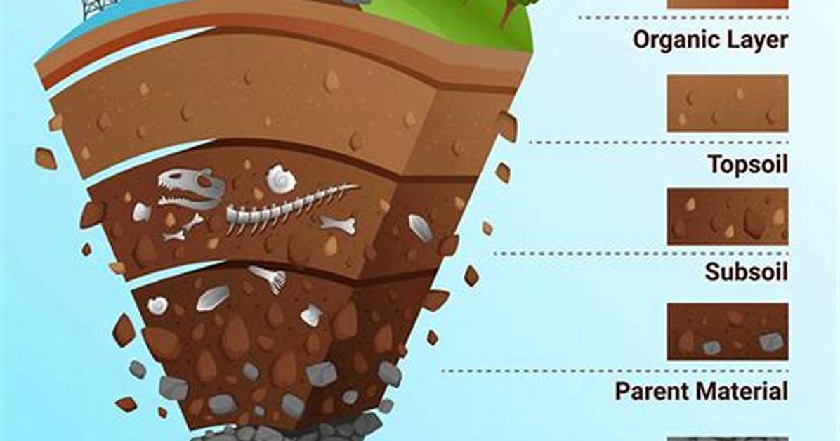 How Is Soil Formed?