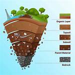 How Is Soil Formed?