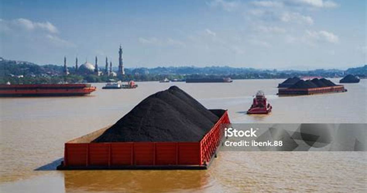 How Is the Coal Transported to the Power Plant?