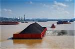 How Is the Coal Transported to the Power Plant?