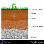 How Is the Top Layer of Soil Formed?
