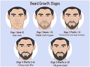 How Long Can a Beard Grow in 1 Year?