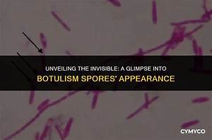 How Long Do Botulism Spores Survive?