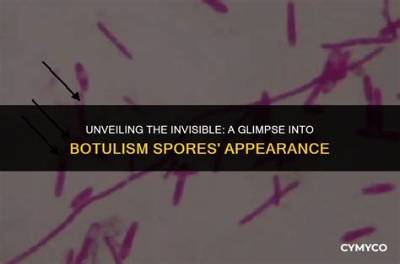 How Long Do Botulism Spores Survive?