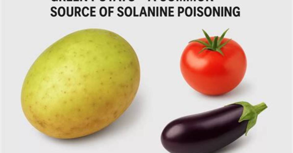 How Long Do Effects of Solanine Poisoning Last?