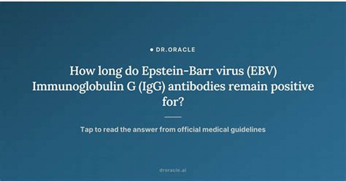 How Long Do Epstein-Barr Antibodies Stay in Your System?