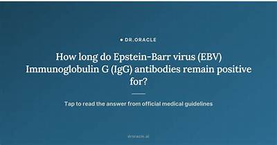 How Long Do Epstein-Barr Antibodies Stay in Your System?