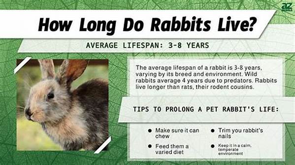 How Long Do Rabbits Live Naturally?