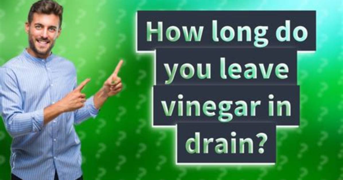 How Long Do You Leave Vinegar in Gas Tank?