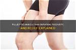 How Long Does a Pulled Leg Muscle Take to Heal?