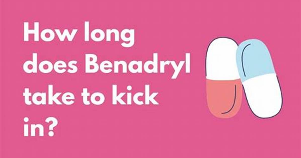 How Long Does Benadryl Take to Kick in for Dogs?
