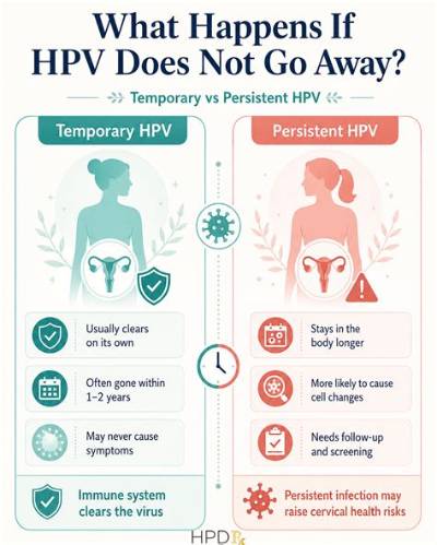 How Long Does Hpv Last in a Man?
