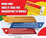 How Long Does It Take for Amlodipine 5 Mg to Lower Blood Pressure?