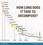 How Long Does It Take for Bones to Fossilize