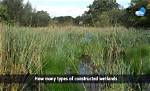 How Many Acres of Wetlands Are in the Us