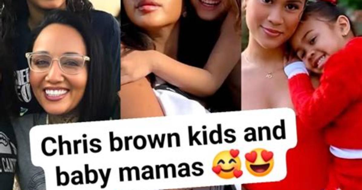 How Many Baby Mamas Does Chris Brown Have the Truth