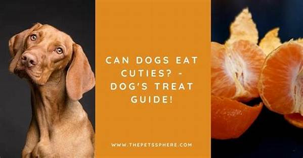 How Many Cuties Can I Eat a Day?