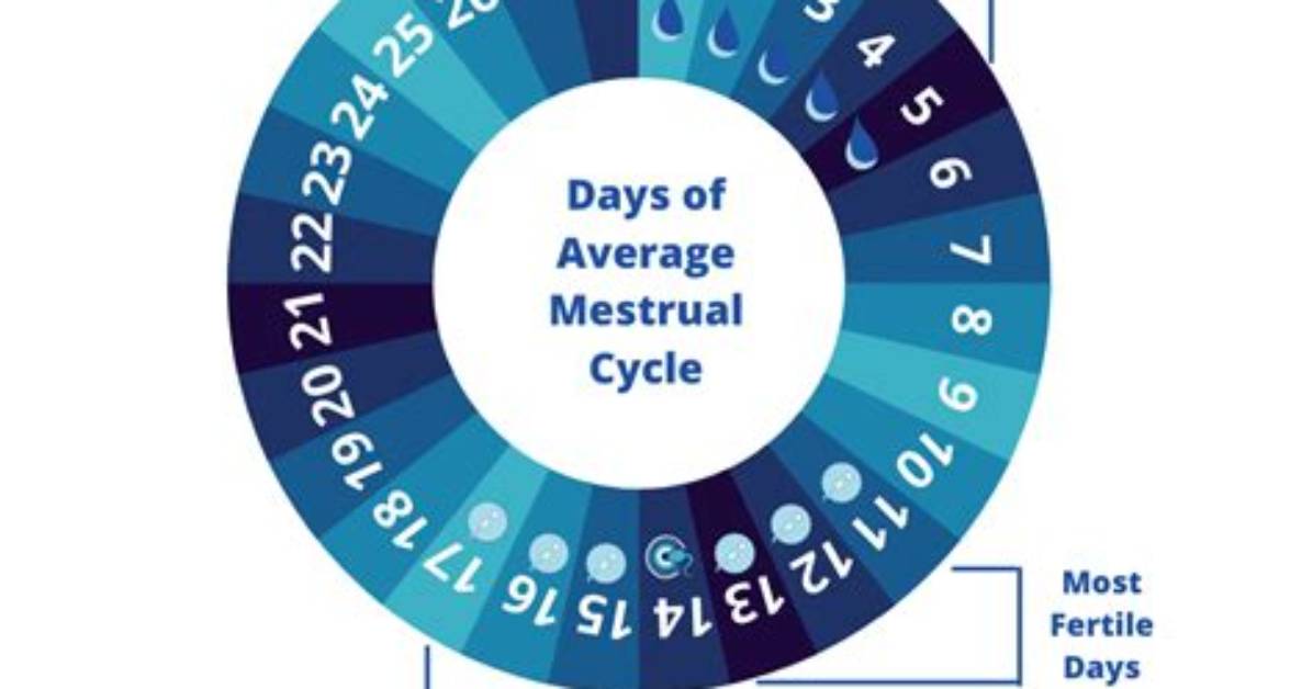 How Many Days It Will Take to Learn Sas?