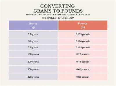 How Many Grams Is a Troy Pound?