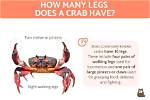 How Many Legs Does Acrab Have?