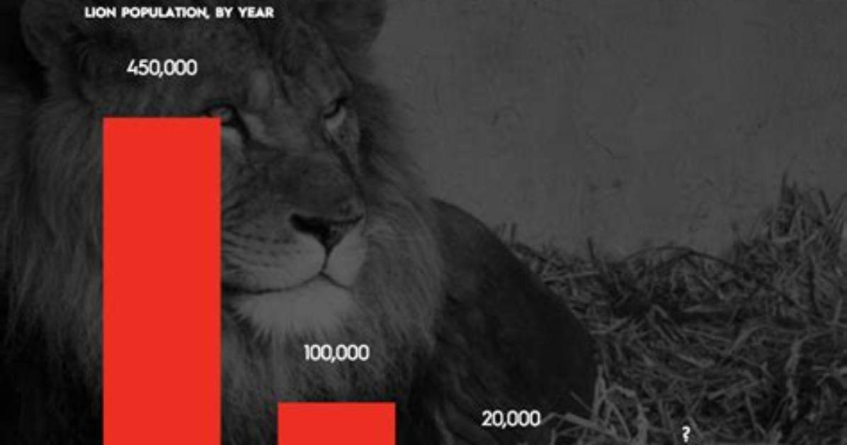 How Many Lions Are Left in the World 2020?