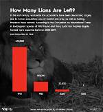 How Many Lions Are Left in the World 2020?