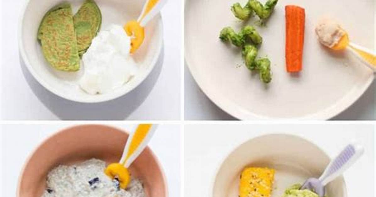 How Many Meals Should a 6 Month Old Baby Have?