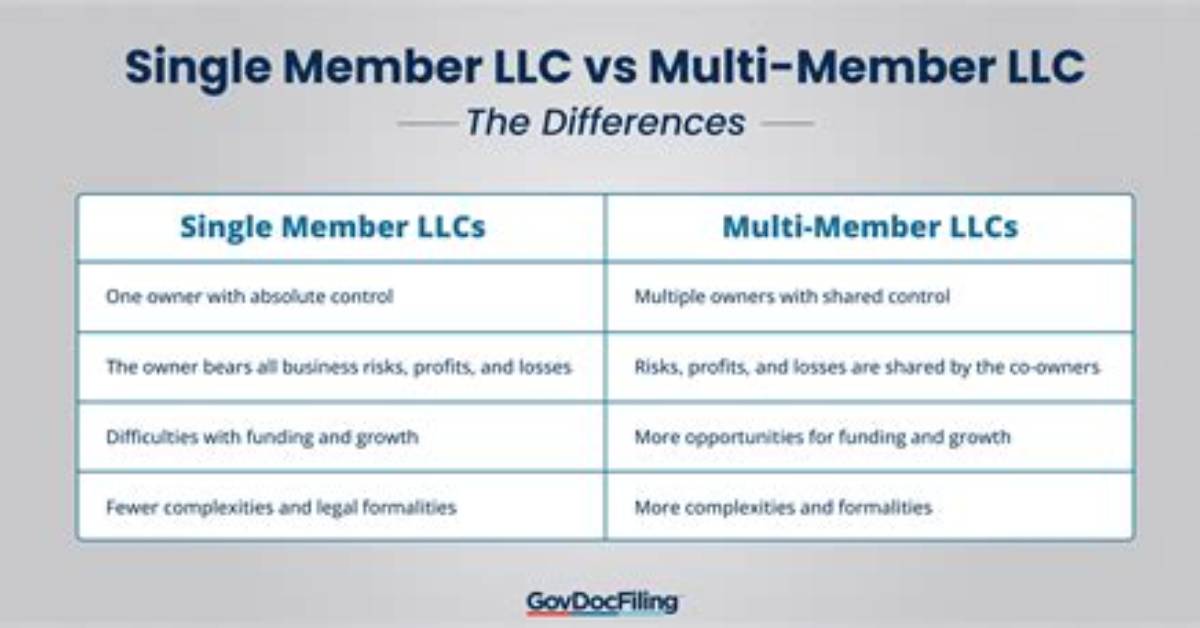 How Many Owners Can a Multi Member Llc Have?