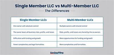 How Many Owners Can a Multi Member Llc Have?