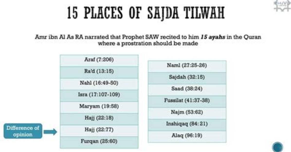 How Many Prostrations (Sajdah) Are There in the Quran?