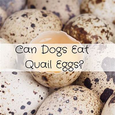 How Many Quail Eggs Can I Eat a Day?