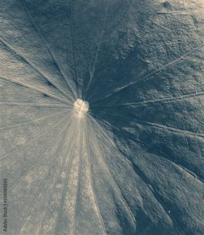 How Many Ridges Are on the Outside of a Quarter?