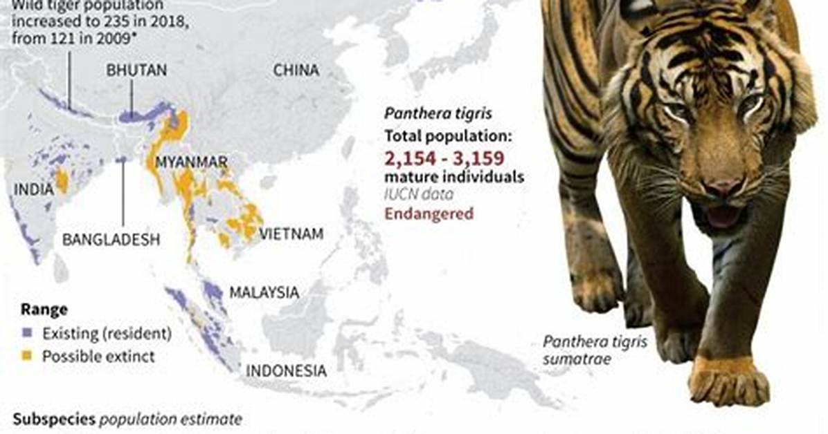 How Many Sumatran Tigers Are Left in the World 2021?