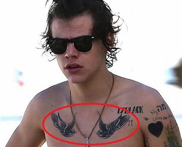 How Many Tattoos Harry Styles Have?