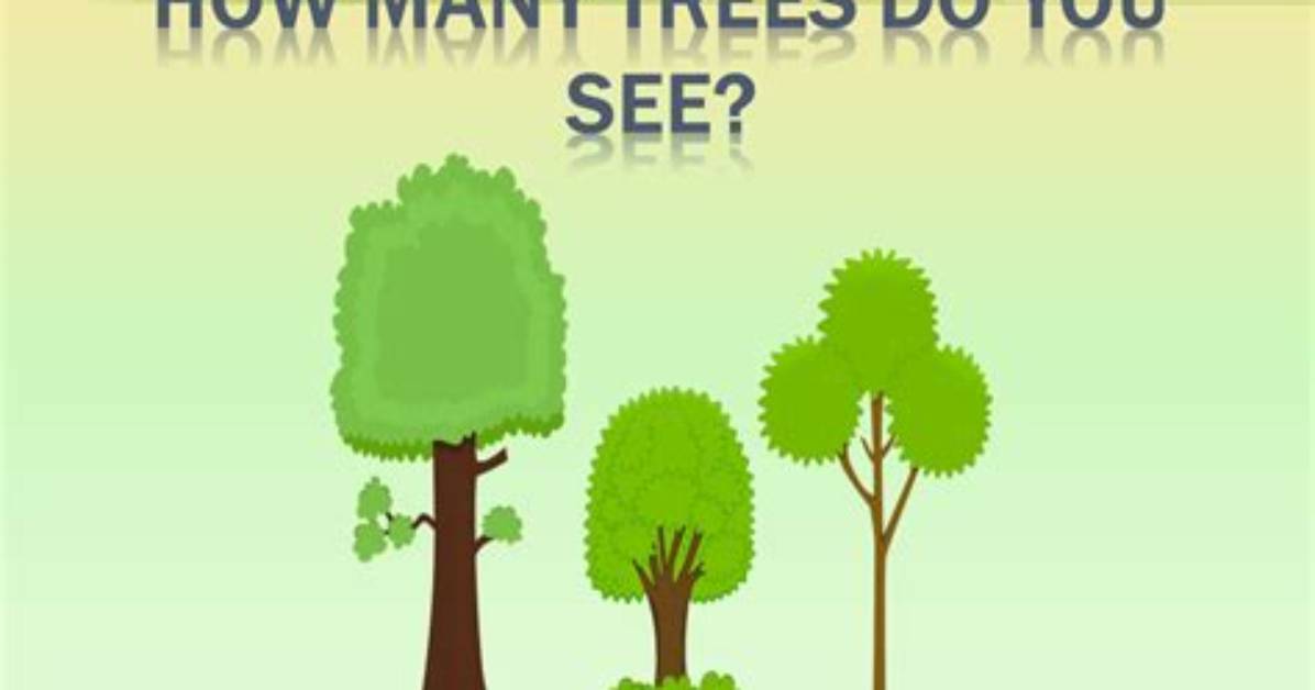 How Many Trees Can You Get from an Acre of Wood?
