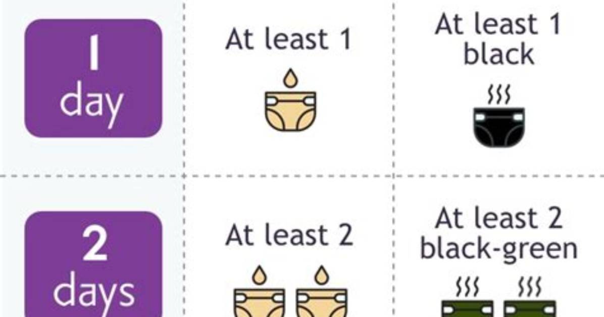 How Many Wet Diapers Should a 2 Year Old Have?