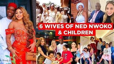 How Many Wives Does Ned Nwoko Have? Delving into Regina Daniel's Spouse's Polygamous Life - Sarkariresult