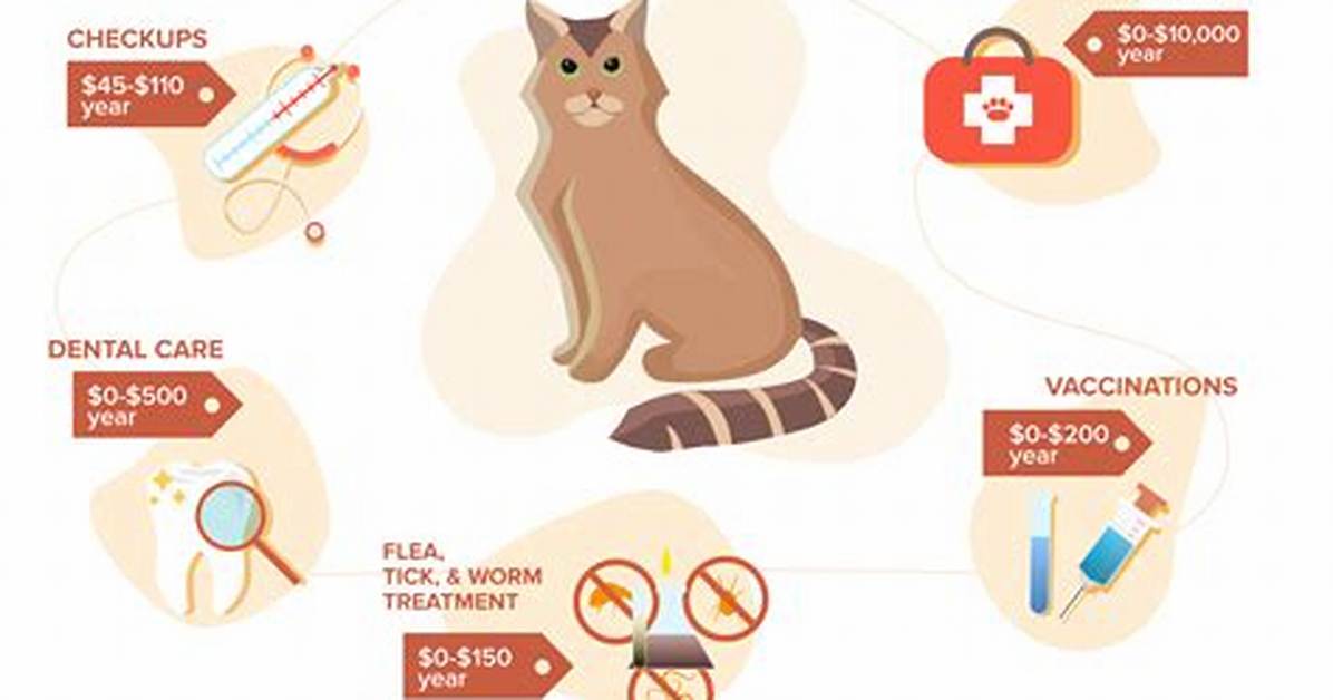How Much Does a Vet Charge for Cat Uti?