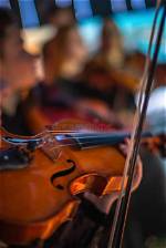 How Much Does a Violinist Earn in an Orchestra?