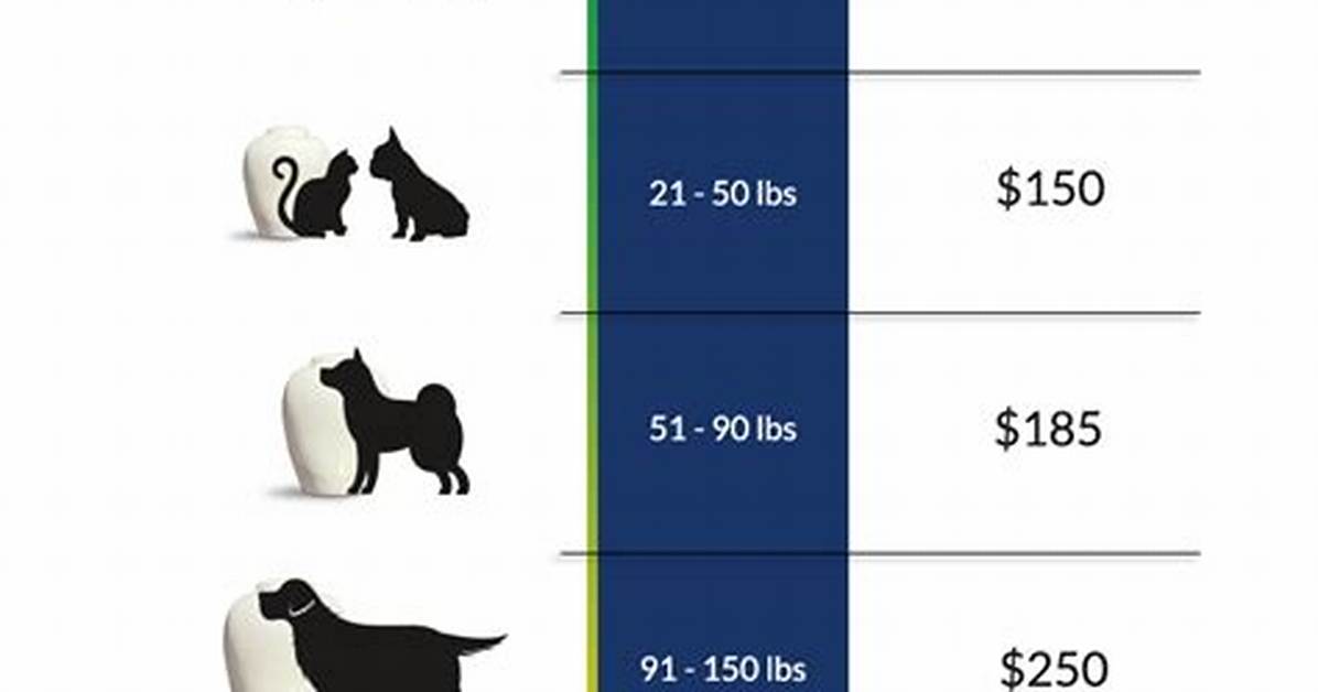 How Much Does Cremating Your Dog Cost?