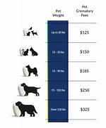 How Much Does Cremating Your Dog Cost?