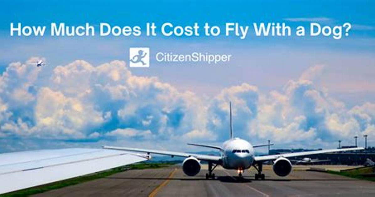 How Much Does It Cost to Fly a Car Overseas?