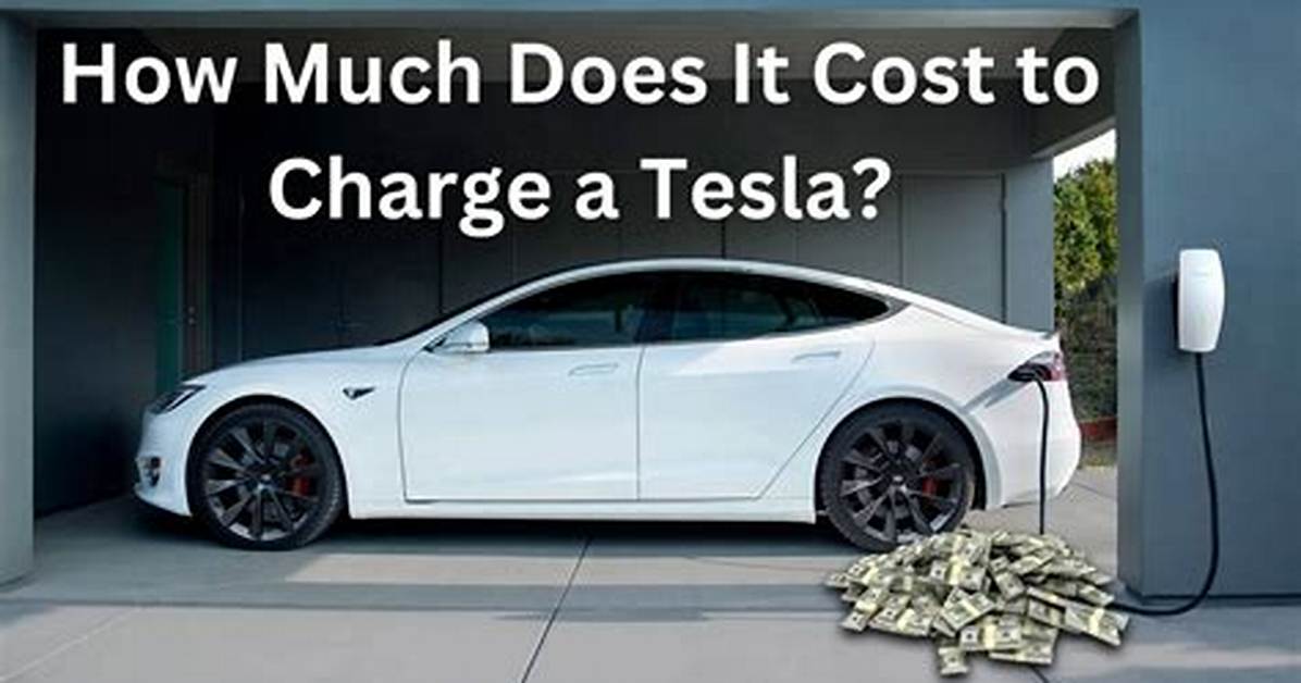 How Much Does It Cost To